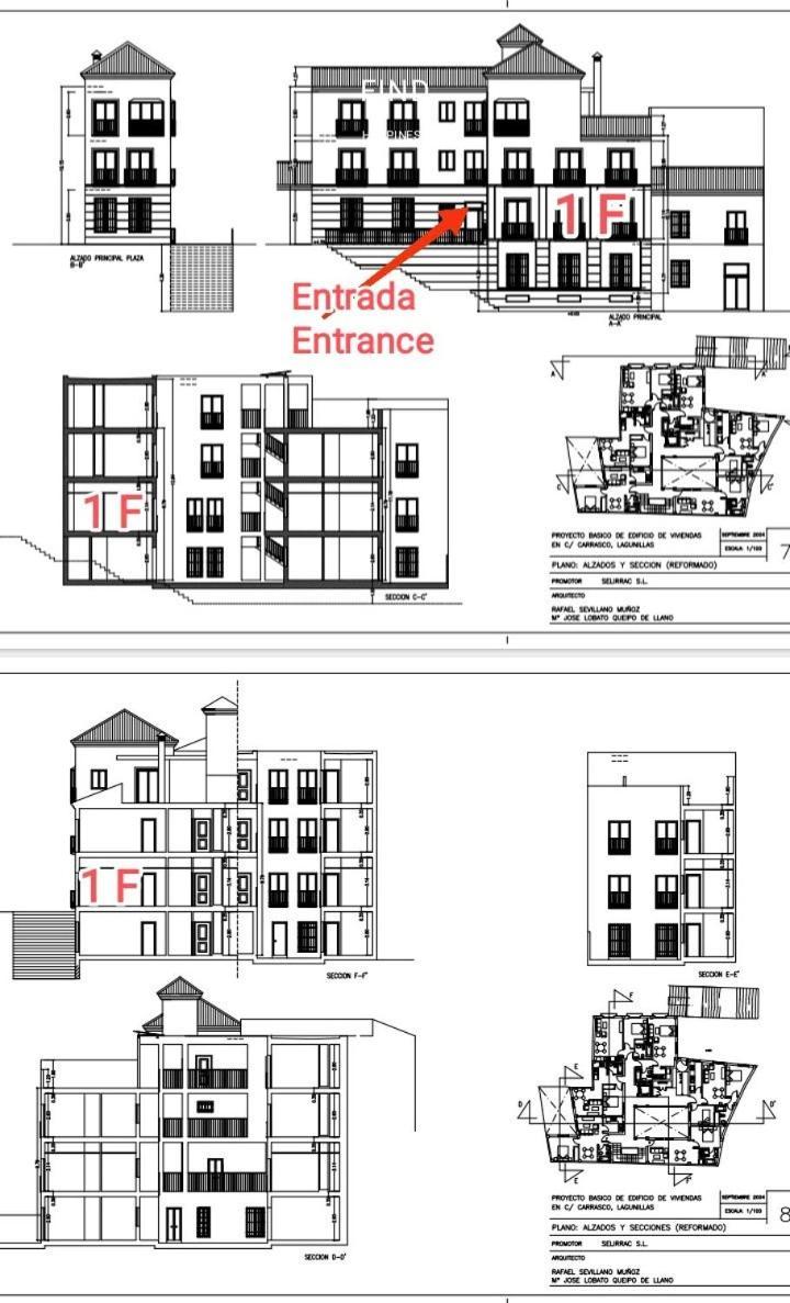 Lagunillasart Apartment Málaga Dış mekan fotoğraf